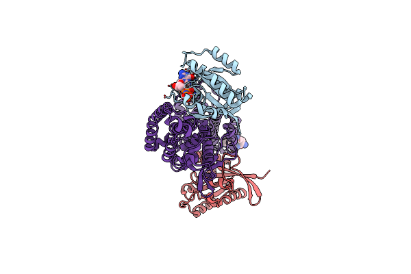 4NYI image