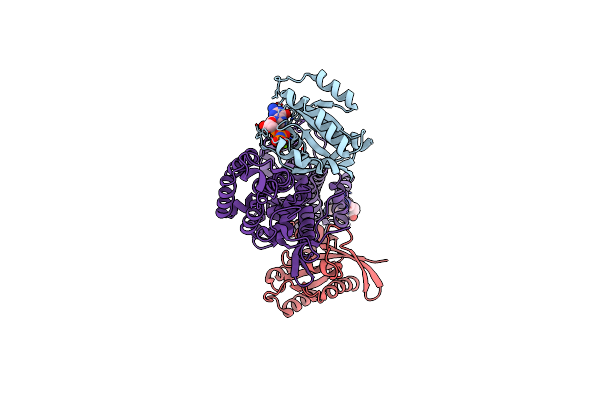 4NYM image