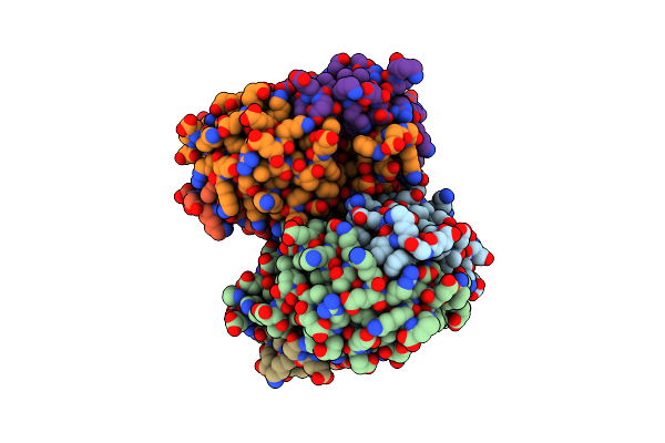 4NYP image