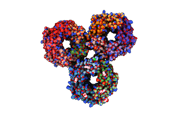 4NZB image