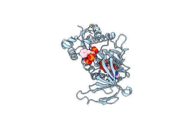 4NZO image