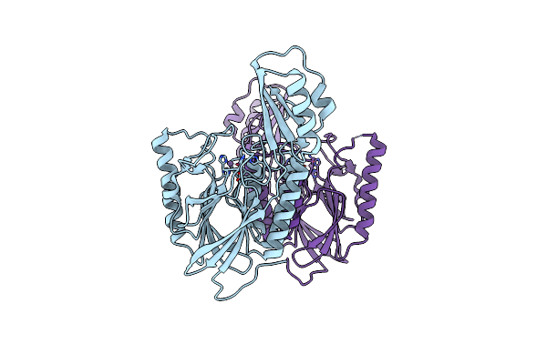 4NZV image