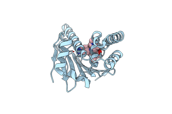 4O04 image