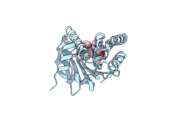 4O07 image