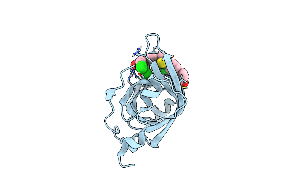 4O0A image