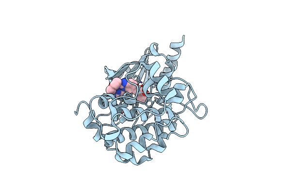 4O0V image