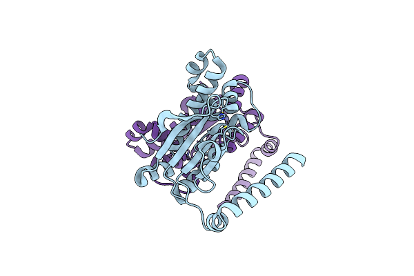 4O1J image