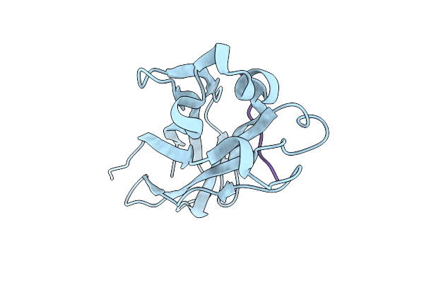 4O1V image