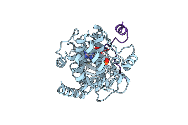 4O21 image