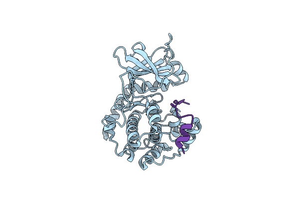 4O22 image