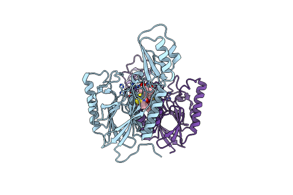 4O24 image