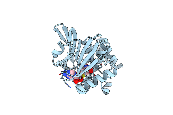 4O29 image