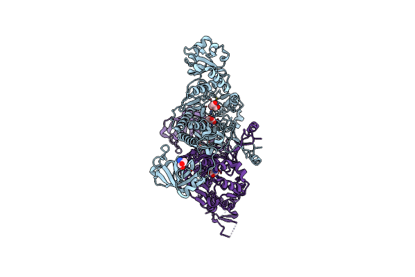 4O2D image