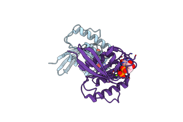 4O2R image