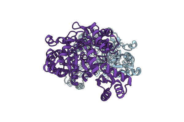 4O2X image