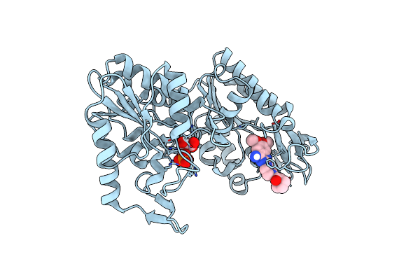 4O33 image