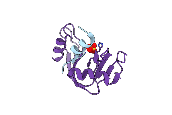 4O36 image