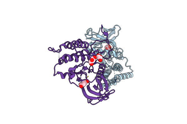 4O38 image