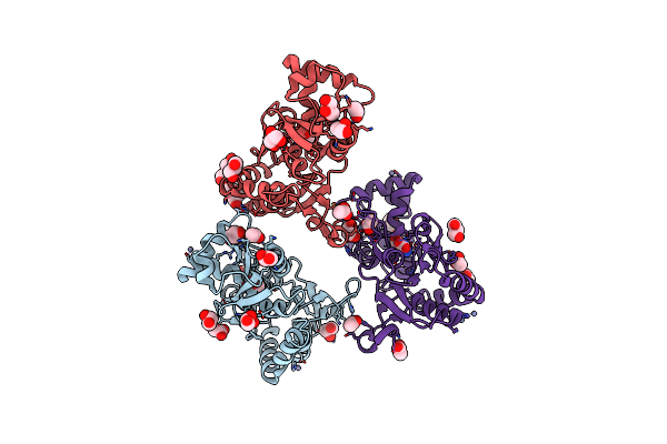 4O3A image