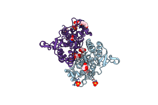 4O3B image