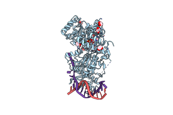 4O3M image