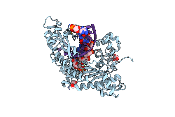 4O3P image