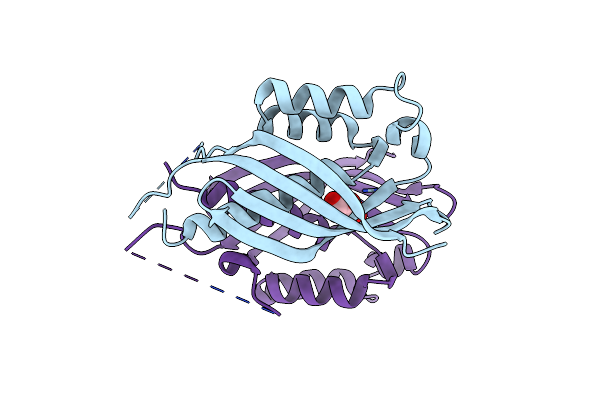 4O3V image