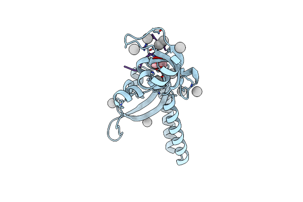 4O42 image