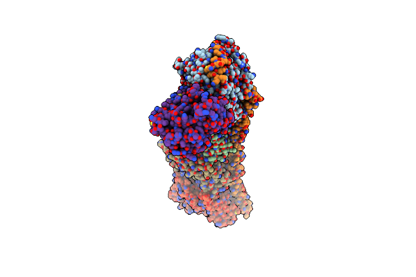 4O4I image
