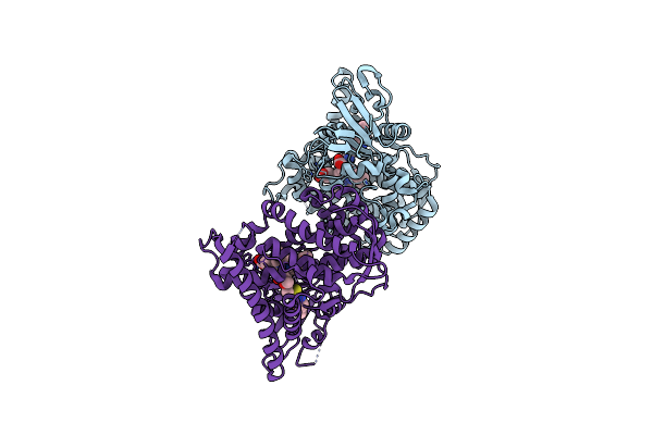 4O4P image