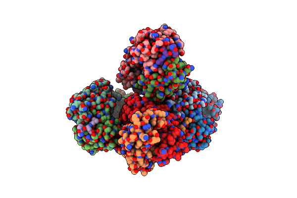 4O51 image