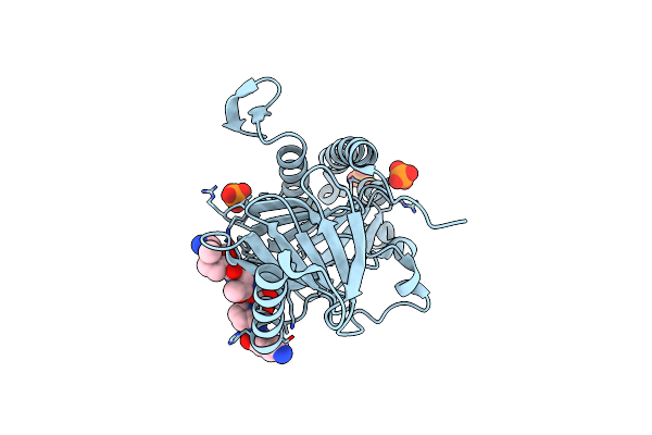 4O56 image