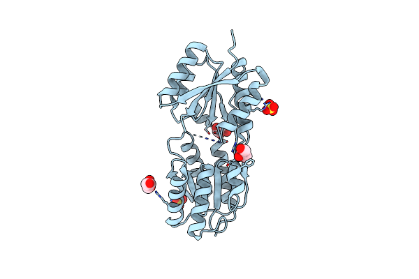 4O5A image