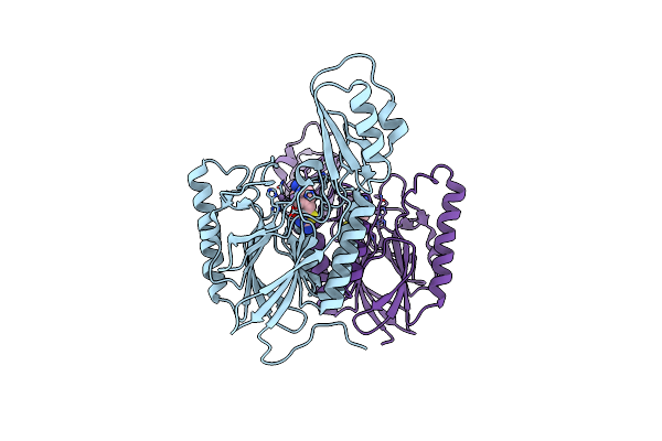 4O5G image