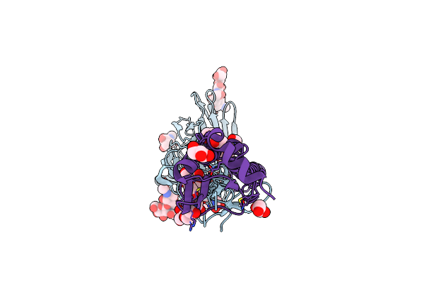 4O5N image