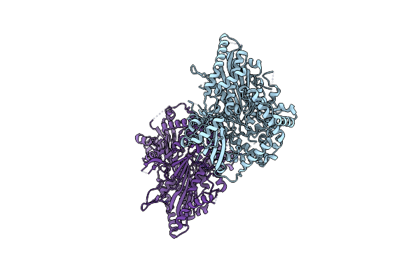 4O5P image