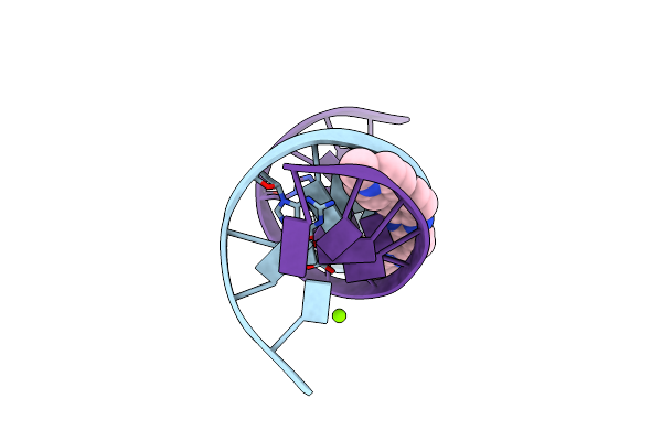 4O5X image