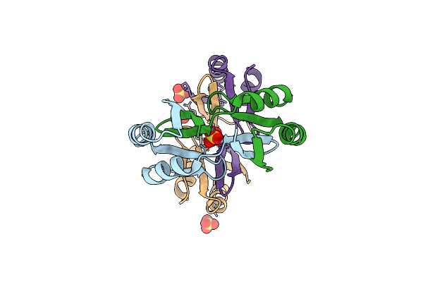 4O66 image