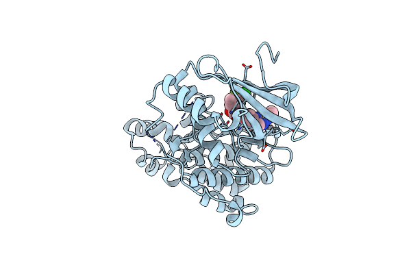 4O6E image