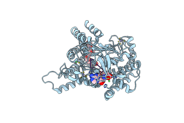 4O6F image