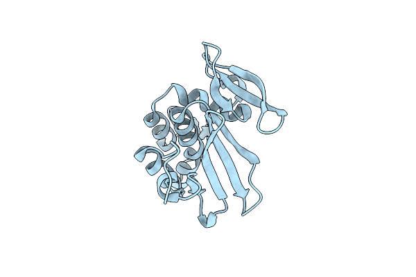 4O6G image