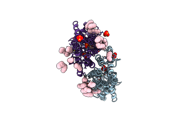 4O6M image