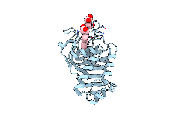 4O6T image