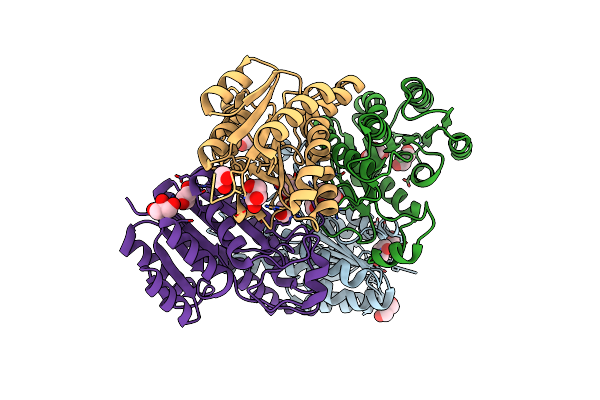 4O6V image