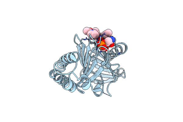 4O6W image