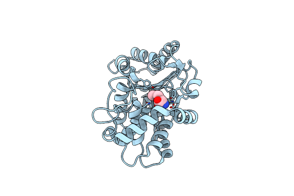 4O7D image