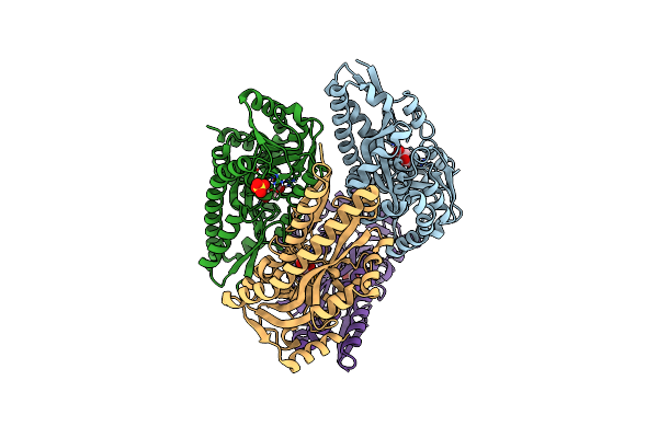 4O7M image