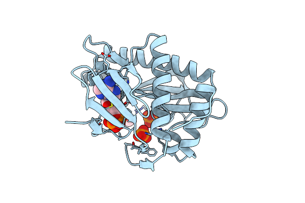 4O7N image