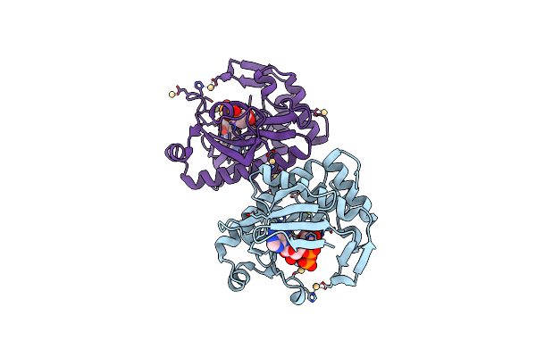 4O82 image