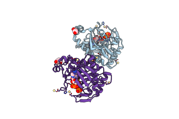 4O83 image